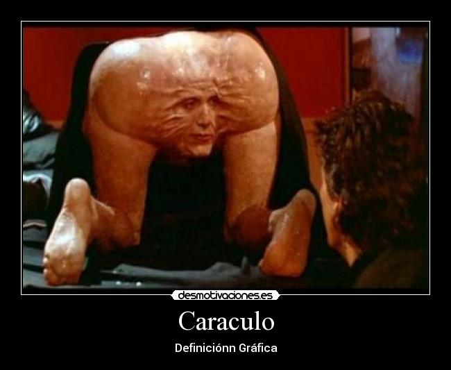 Caraculo -