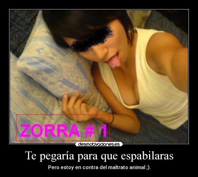 carteles zorra chica choni desmotivaciones