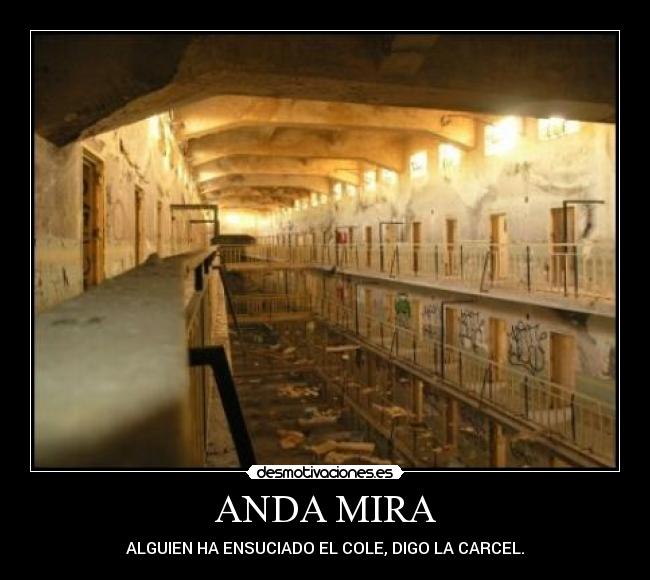 ANDA MIRA - ALGUIEN HA ENSUCIADO EL COLE, DIGO LA CARCEL.
