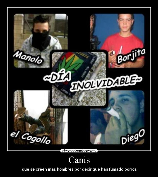 Canis - que se creen más hombres por decir que han fumado porros