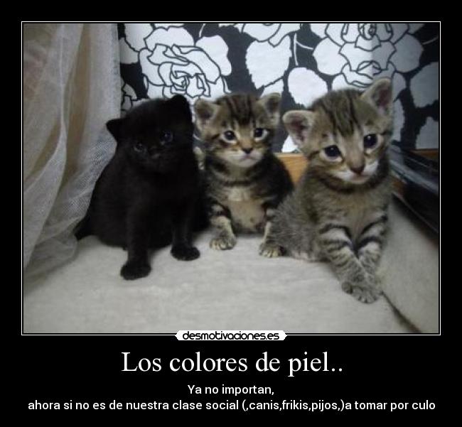 Los colores de piel.. - Ya no importan,
ahora si no es de nuestra clase social (,canis,frikis,pijos,)a tomar por culo