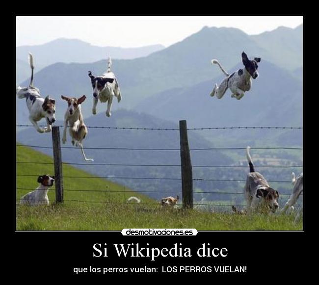 Si Wikipedia dice -