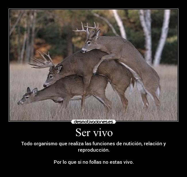 Ser vivo - 