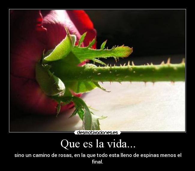 Que es la vida... -