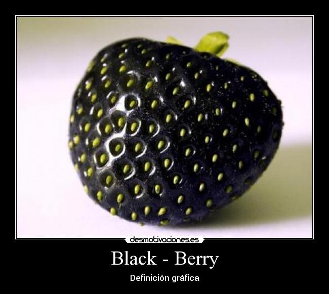 Black - Berry - Definición gráfica