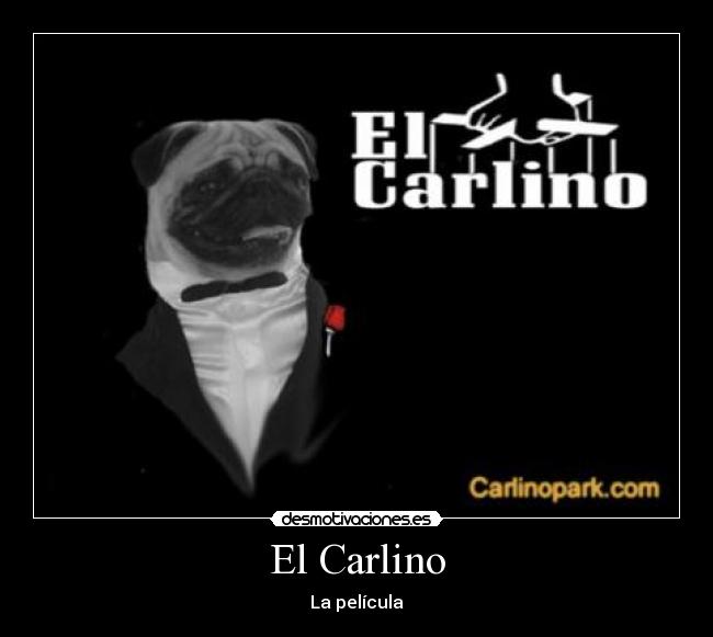 El Carlino -