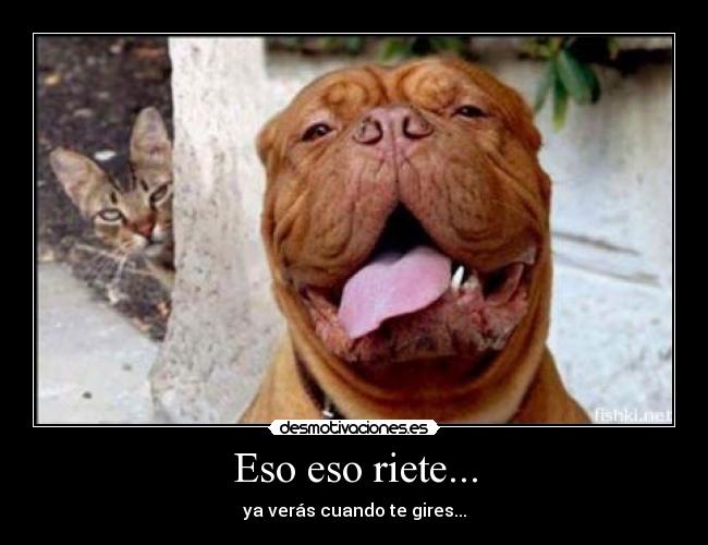 Eso eso riete... - ya verás cuando te gires...