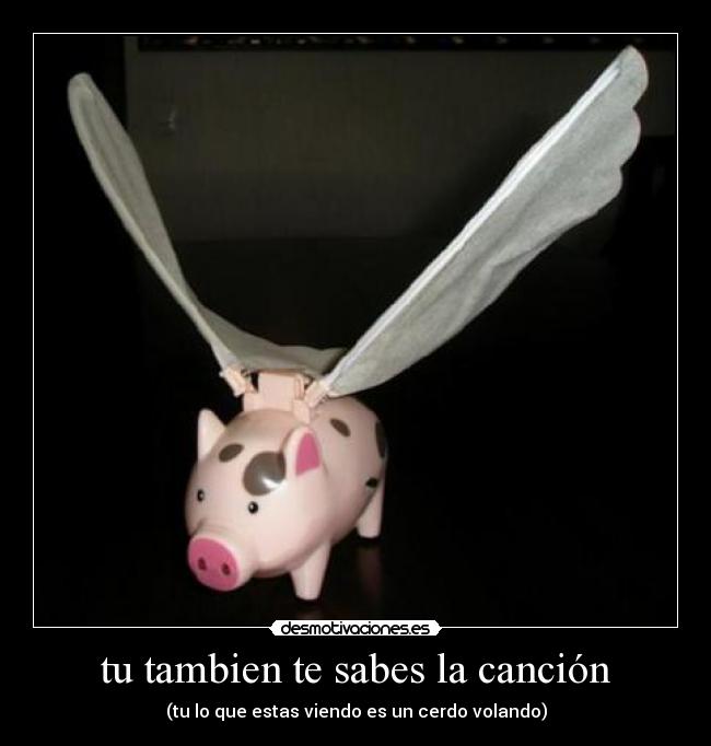 tu tambien te sabes la canción -