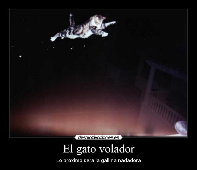 El gato volador - Lo proximo sera la gallina nadadora