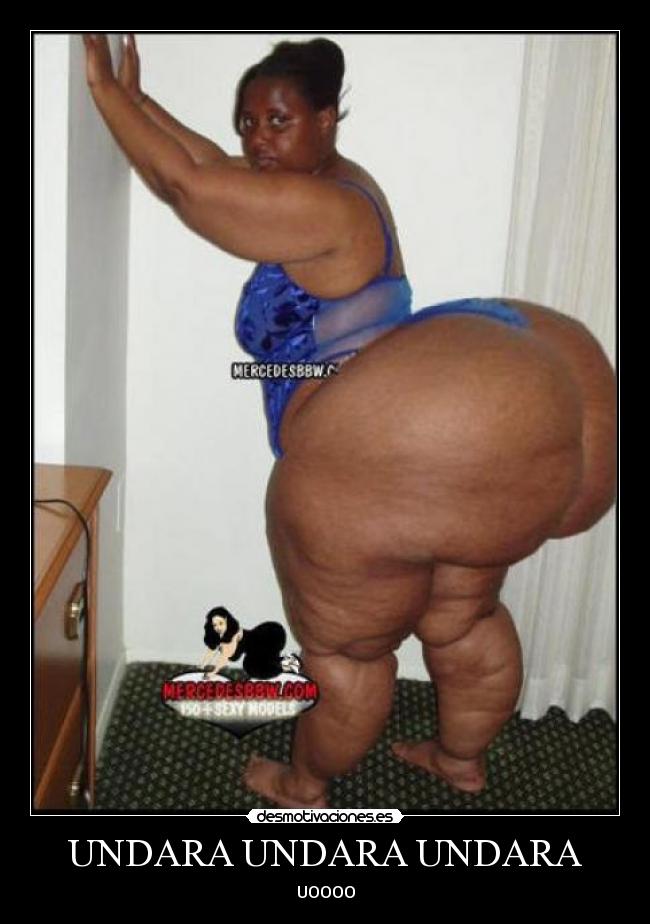 UNDARA UNDARA UNDARA - UOOOO