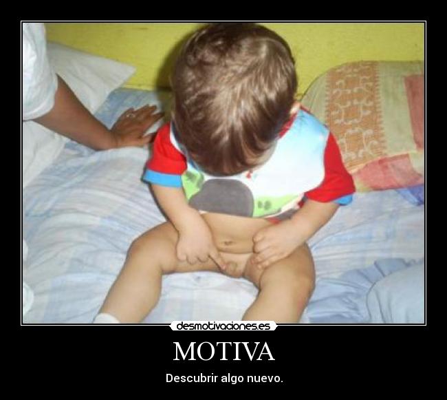 MOTIVA - 