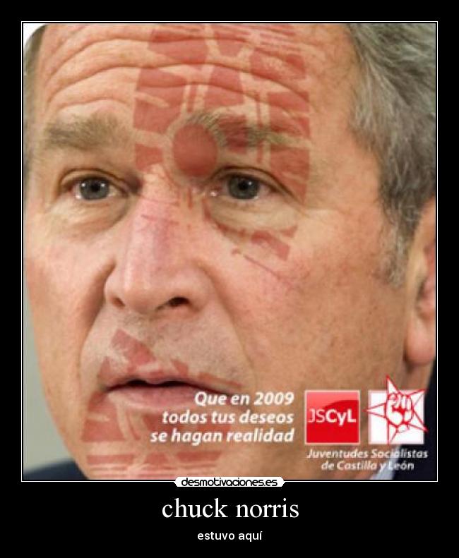 chuck norris - 