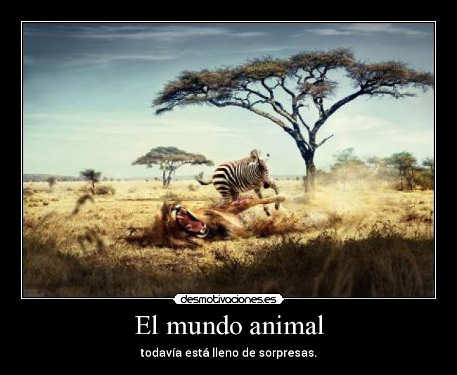 carteles mundo wonka27 desmotivaciones