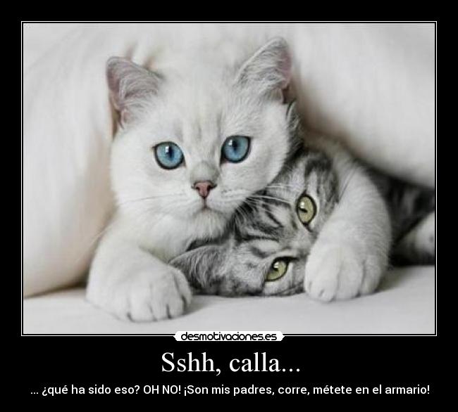 Sshh, calla... -