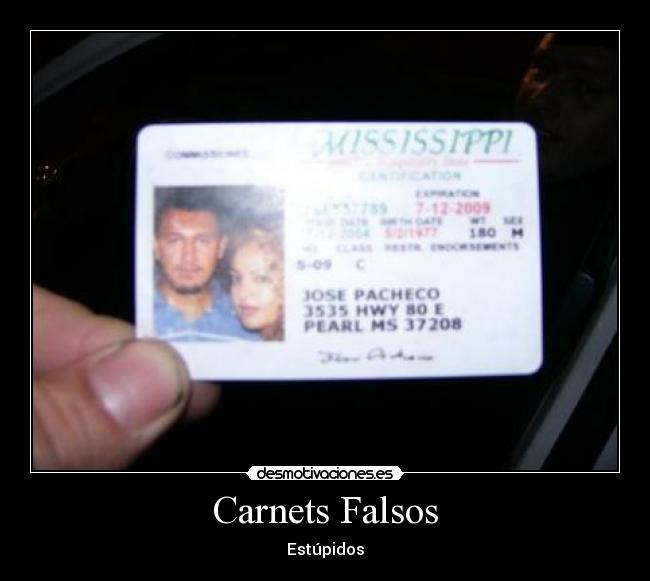 Carnets Falsos - Estúpidos