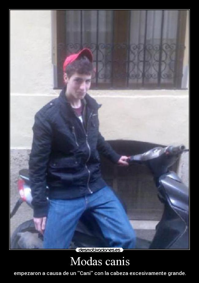 Modas canis - empezaron a causa de un Cani con la cabeza excesivamente grande.