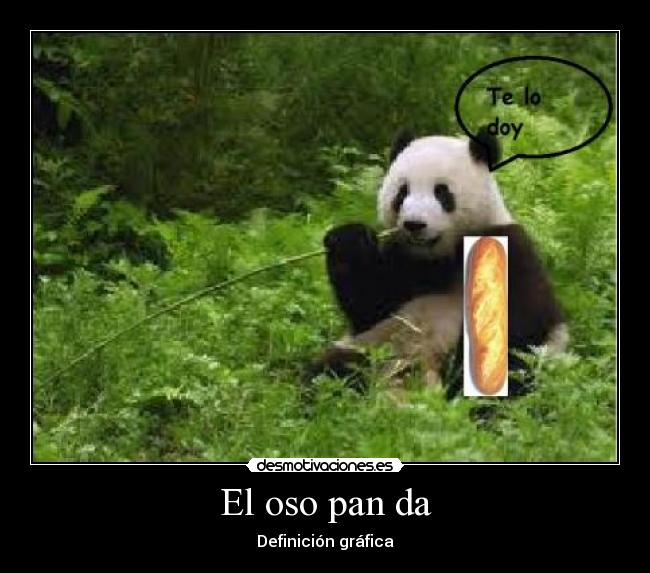 carteles oso panda desmotivaciones