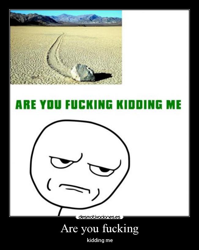 Are you fucking - kidding me