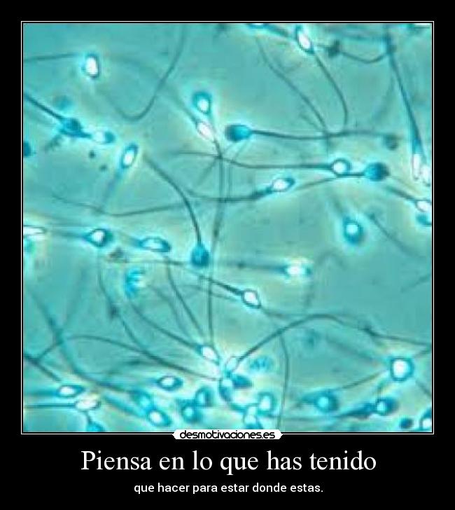 Piensa en lo que has tenido - que hacer para estar donde estas.