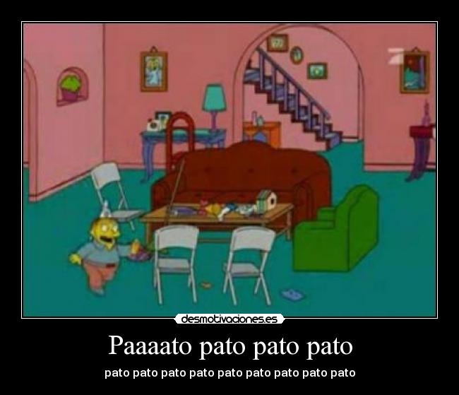Paaaato pato pato pato - 