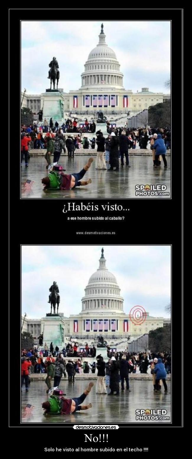 No!!! - Solo he visto al hombre subido en el techo !!!!