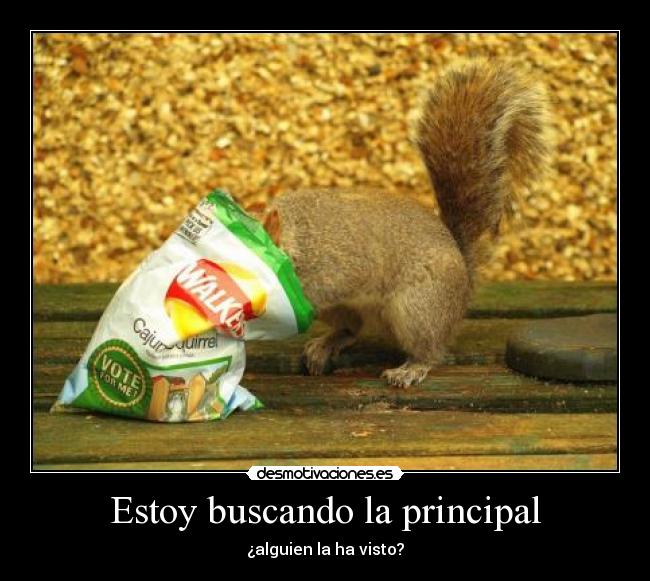 Estoy buscando la principal - ¿alguien la ha visto?
