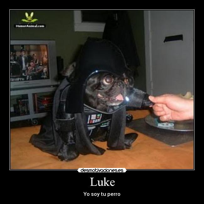 Luke -