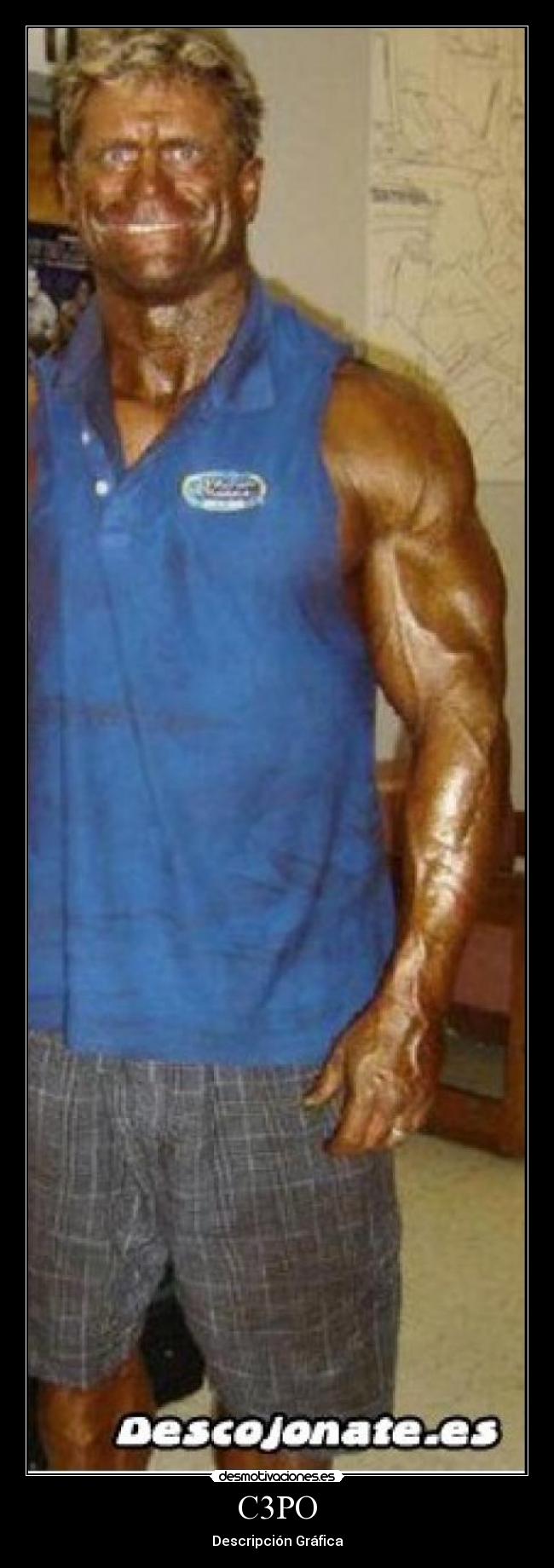 C3PO - Descripción Gráfica
