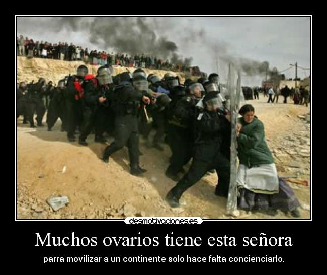 Muchos ovarios tiene esta señora - 