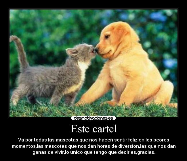 Este cartel - Va por todas las mascotas que nos hacen sentir feliz en los peores
momentos,las mascotas que nos dan horas de diversion,las que nos dan
ganas de vivir,lo unico que tengo que decir es,gracias.