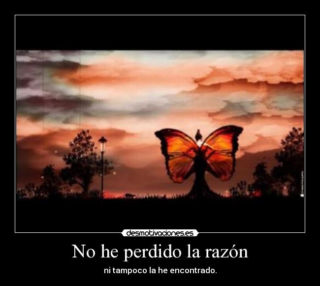 No he perdido la razón - 