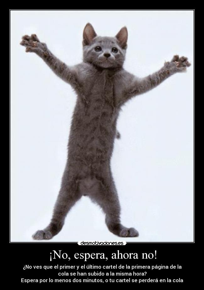 ¡No, espera, ahora no! - ¿No ves que el primer y el último cartel de la primera página de la
cola se han subido a la misma hora?
Espera por lo menos dos minutos, o tu cartel se perderá en la cola