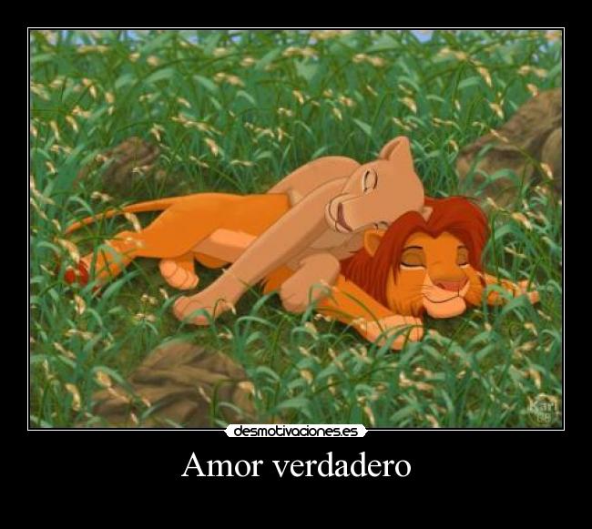 Amor verdadero - 