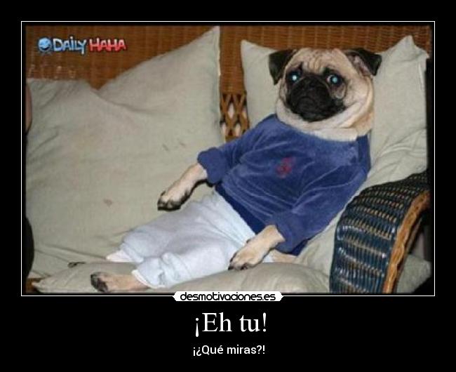 ¡Eh tu! - ¡¿Qué miras?!