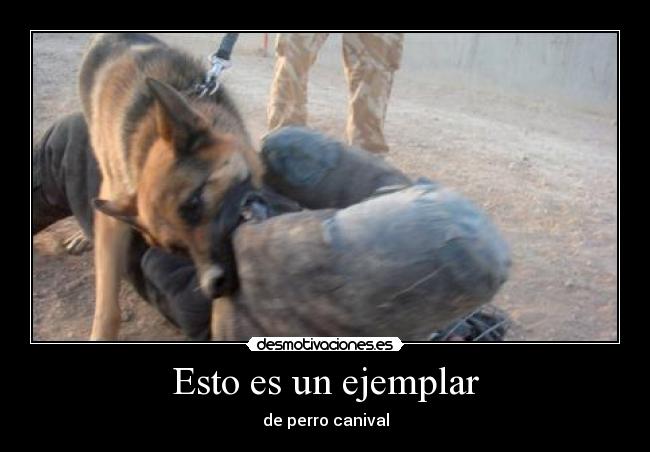 carteles crisman desmotivaciones