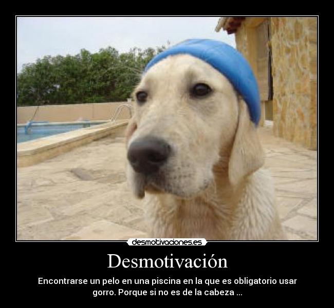 Desmotivación - 