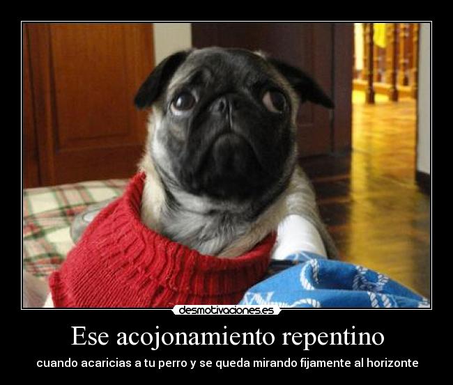 Ese acojonamiento repentino -