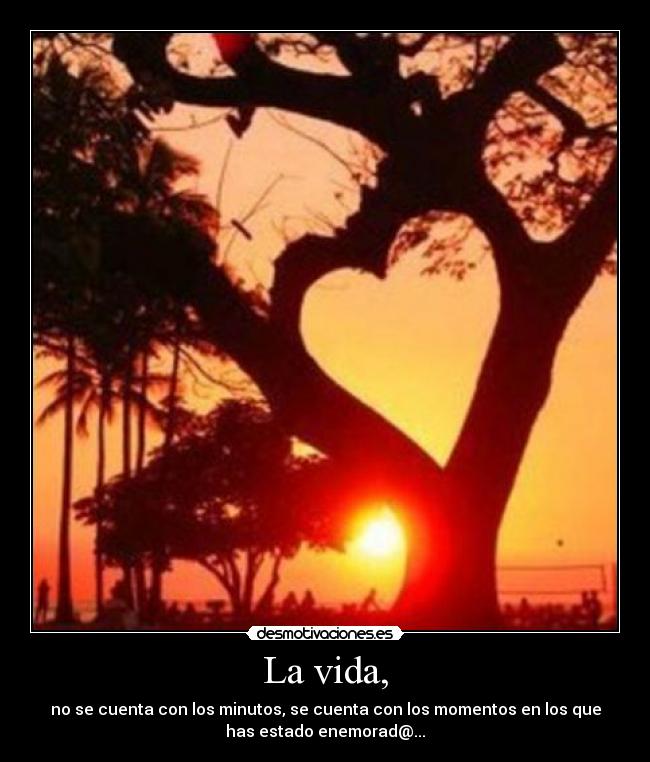 La vida, -