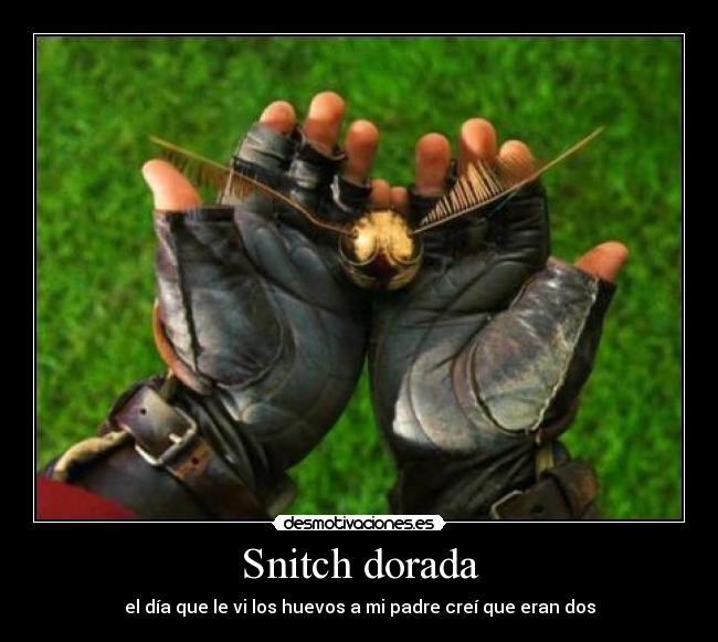 Snitch dorada - el día que le vi los huevos a mi padre creí que eran dos