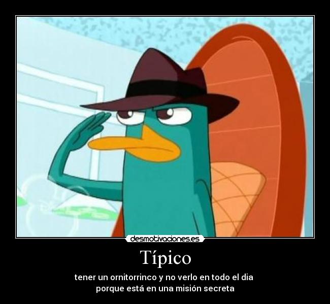 Típico - 