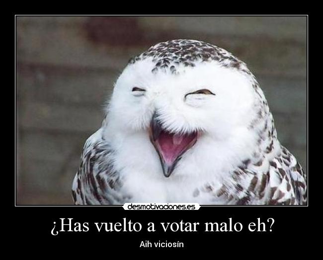 ¿Has vuelto a votar malo eh? -