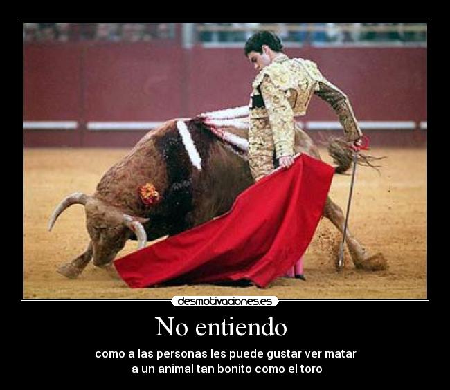 No entiendo  - 