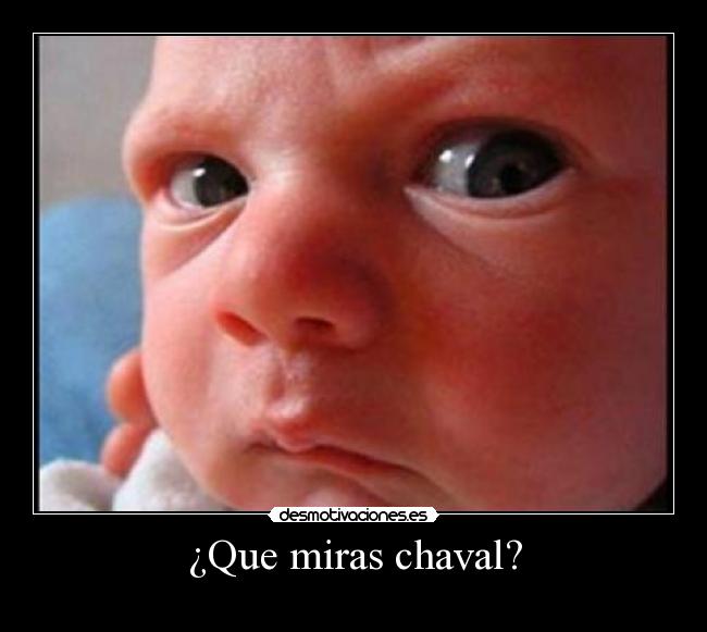 ¿Que miras chaval? - 