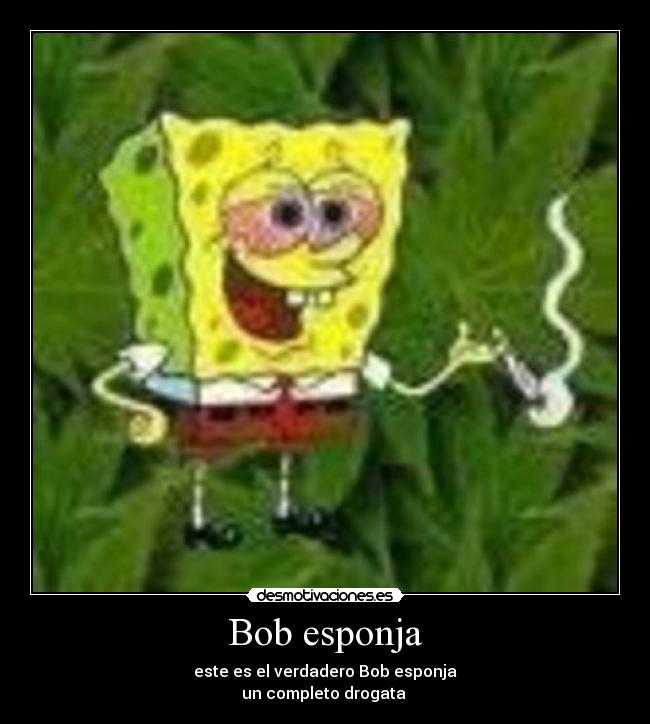 Bob esponja - este es el verdadero Bob esponja
un completo drogata