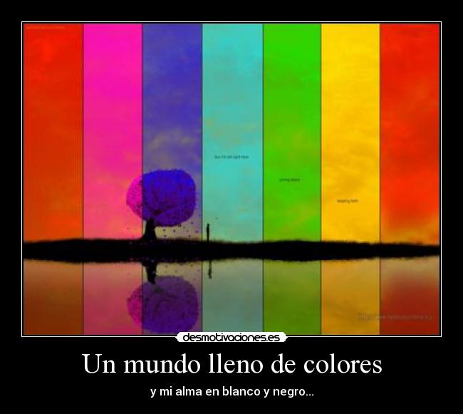Un mundo lleno de colores -