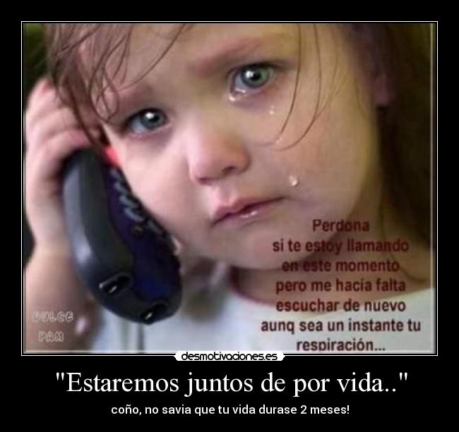 Estaremos juntos de por vida.. - coño, no savia que tu vida durase 2 meses!