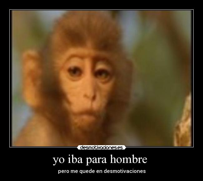 carteles iba para desmotivaciones