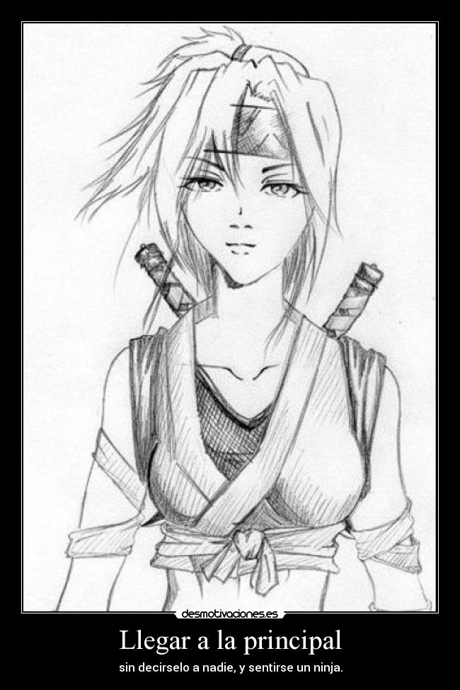 carteles ninja principal desmotivaciones