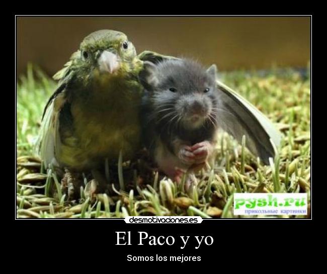 El Paco y yo - Somos los mejores