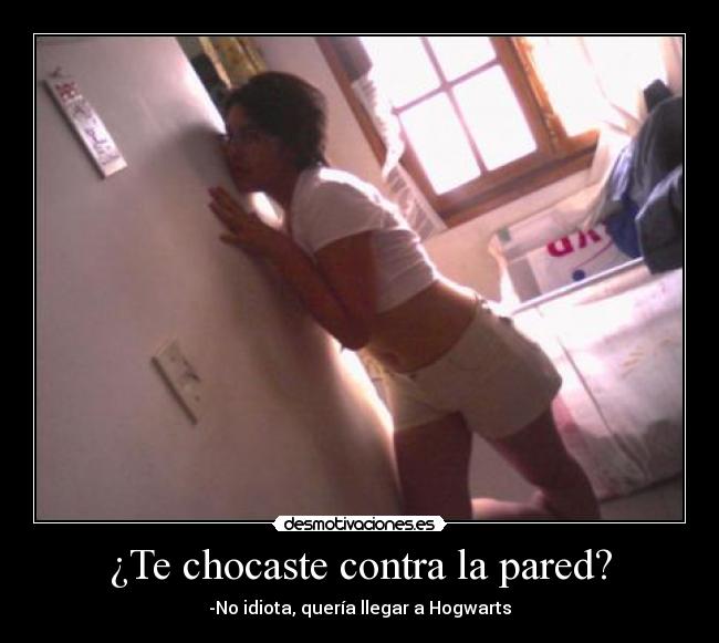 ¿Te chocaste contra la pared? - -No idiota, quería llegar a Hogwarts